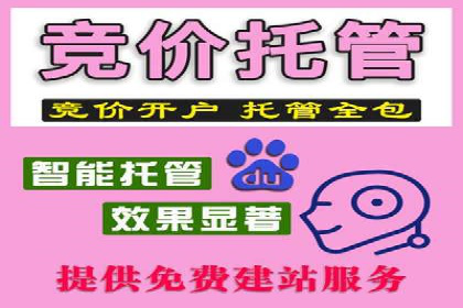 百度竞价推广代运营在某家居品牌的应用与效果分析